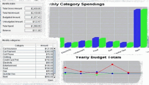 Budget Ace 1.5.1 - náhled