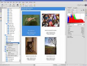 digiKam 8.4.0 - náhled