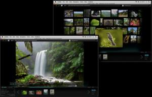 OutWit Images 0.3.7 beta - náhled