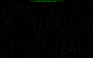 Bits Screensaver 1.40 - náhled