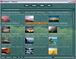 FileMatrix 8.0.7 - náhled