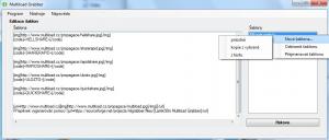 Lamik99´s Multiload Grabber 1.1.0.0 - náhled
