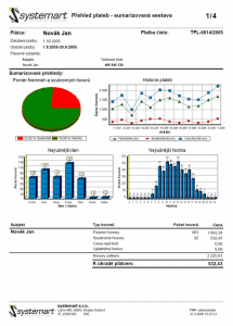 Přehled plateb zaměstnance - náhled