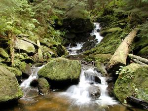 Velký náhled - náhled