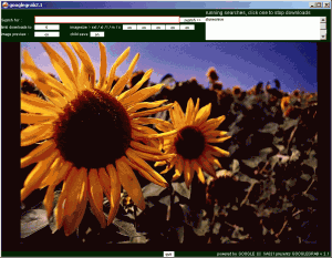 Velký náhled - náhled