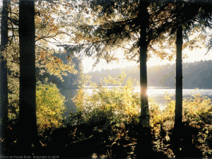 Velký náhled - náhled