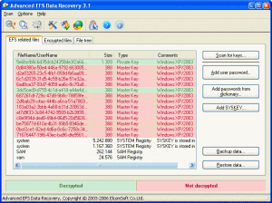 Advanced EFS Data Recovery 4.50.51 - náhled