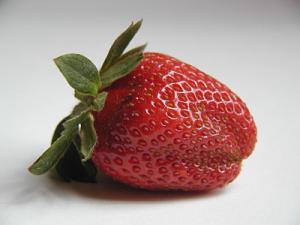 Velký náhled - náhled