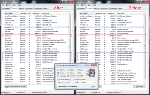 [eMo]Web Browser Optimizer 2.0.0.1 - náhled