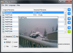 Bica File Renamer 1.4 - náhled