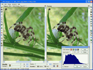 Velký náhled - náhled