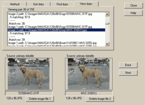 Dup Detector 3.0 - náhled