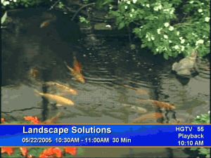 CTpvr Media Center 2.2 #15 - náhled