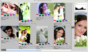 Multiple Image Processing Application 23.6.2010 - náhled