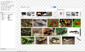 Captureka! 1.4.1 - náhled