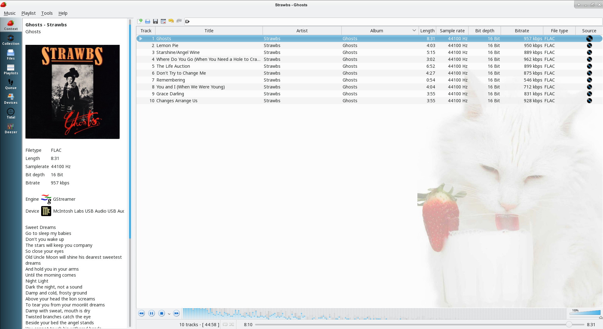 download the new version Strawberry Music Player 1.0.18