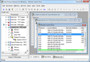 Process Director for Windows 1.00 - náhled