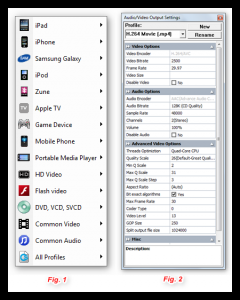 AVGO Free Video Converter 1.03 - náhled