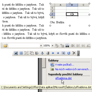 Ukázka PROffi Word - náhled