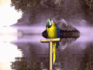 Velký náhled - náhled