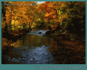 Velký náhled - náhled