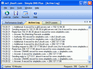 Simple DNS Plus 6.0 - náhled