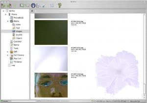 BitPim 1.0.6 - náhled