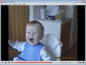 Youtomato FLV Player 2.6.6 - náhled