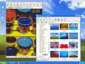 Velký náhled - náhled