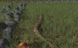 SnakeWorld 1.2.4 - náhled