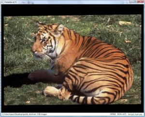 PixGal3d 0.80b - náhled