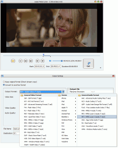 Leapic Media Cutter 6.2 - náhled