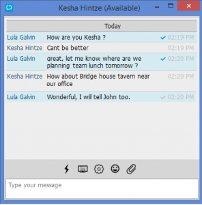 CDMessenger 3.3 - náhled