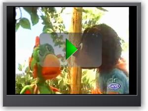 Accurate Web TVbox Toolkit 1.4 - náhled
