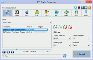 FSS Audio Converter 2.3.0.2 - náhled