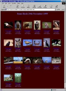 Velký náhled - náhled