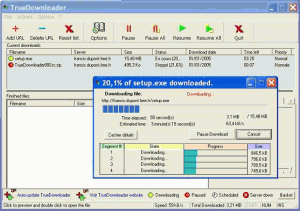 TrueDownloader 0.82 - náhled