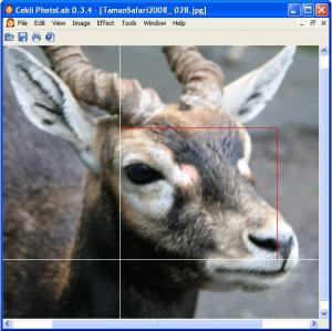 CEKLi PhotoLab 0.4.0 - náhled