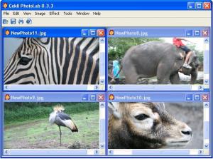 CEKLi PhotoLab 0.4.0 - náhled