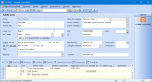 Daňová přiznání TAX - náhled