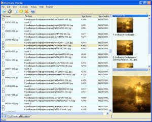 Duplicate Checker 2.1 - náhled