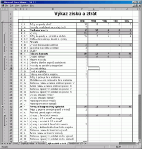 Výkaz zisků a ztrát - náhled