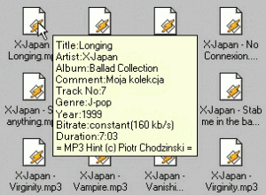 MP3 Hint 2.00 - náhled