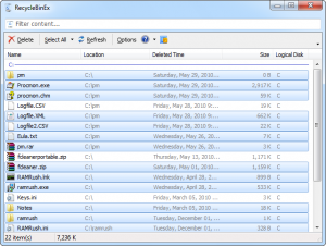 RecycleBinEx 1.0.5.530 - náhled
