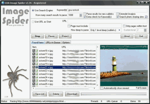 GSA Image Spider 3.84 - náhled