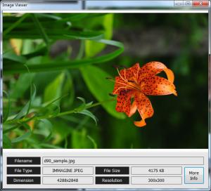 BImageStudio 1.1.1 - náhled