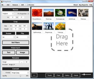 BImageStudio 1.1.1 - náhled