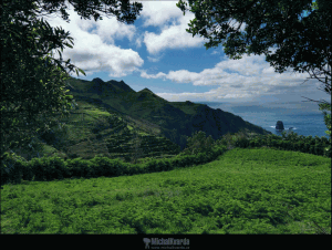 Screensaver krajina - náhled