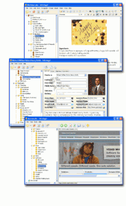 Info Angel 4.1 - náhled