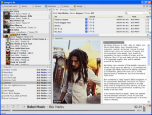 Jaangle 0.98h.976 - náhled